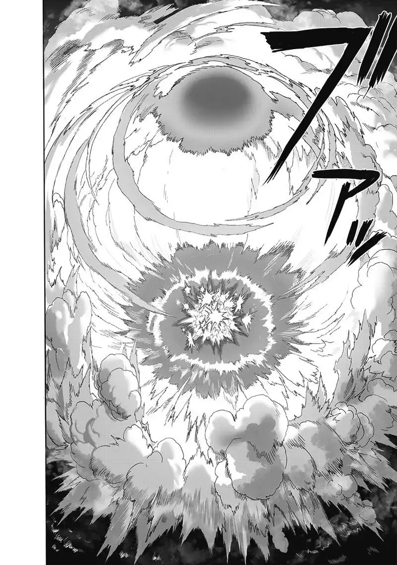 One-Punch Man Chapter 165 19